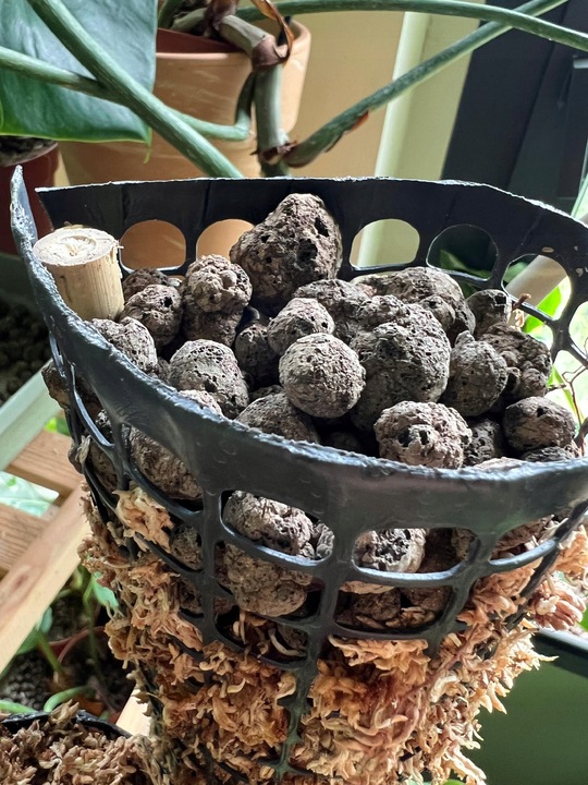 Palik z mchu 80cm sphagnum Podpora do roślin