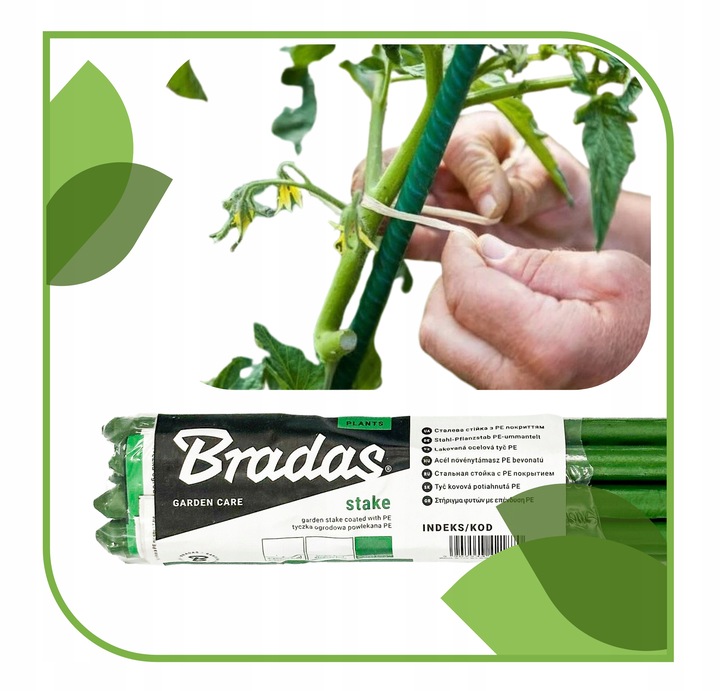 Tyczka Podpora Palik do Pomidorów Roślin Kwiatów 1,1 x 150 cm 10 szt
