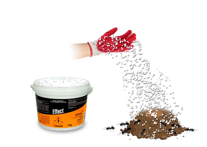 SILNY PROSZEK ŚRODEK PREPARAT NA MRÓWKI GNIAZDA MRÓWEK MROWISKA 1KG EFFECT