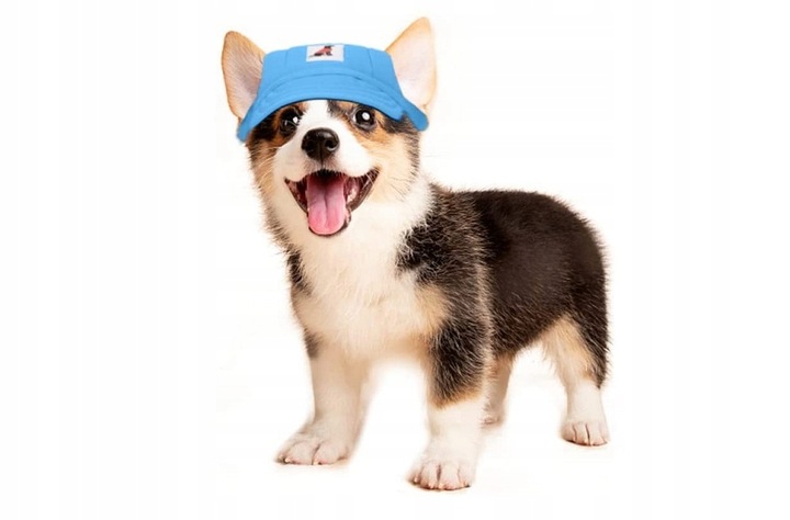 CZAPKA Z DASZKIEM DLA PSA OCHRONA PRZED SŁONCEM M