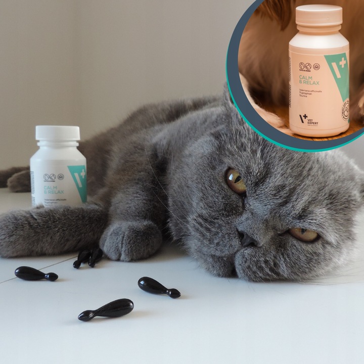 Preparat dla psów i kotów na stres Vet Expert Calm & Relax 30 kapsułek