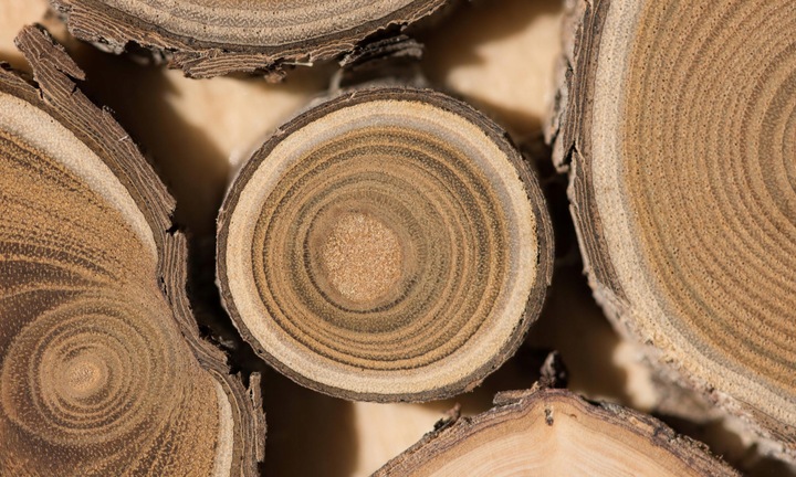 Podchloryn sodu 15% chlor w płynie do basenu jacuzzi 5l Chlorox S