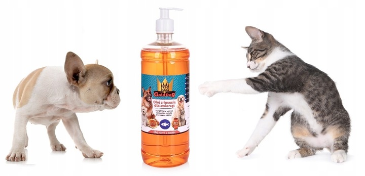 GoldDog Olej z Łososia 1l dla psa i kota