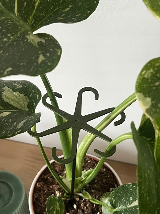 Podpórki do kwiatów podpórka chwytak z prętem 33cm OCTOPUS M 15cm 3 szt.