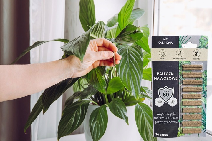 Pałeczki Nawozowe na Szkodniki Ziemiórki Przędziorki Tarczniki 100