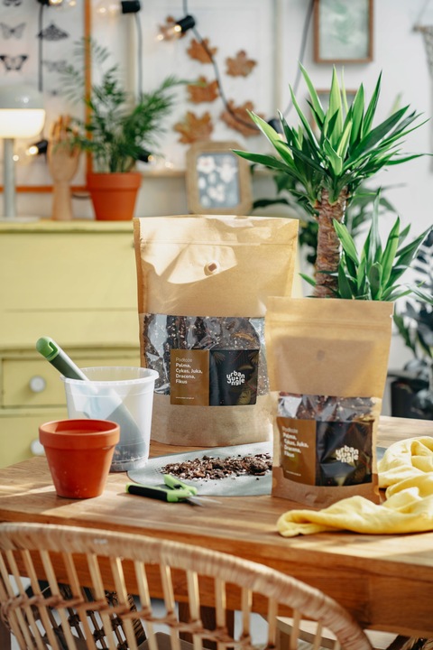 Ziemia do PALM, CYKASA, JUKI, DRACENY i FIKUSA 5L bigos, podłoże