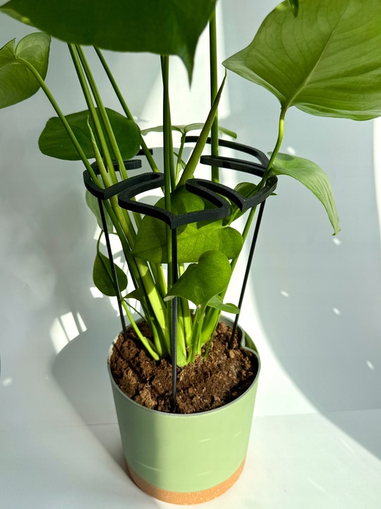 Podpora Roślin Kwiatów Obejma Pierścieniowa Podpórka RING MONSTERA L