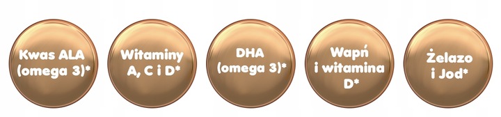 BEBIKO PRO+ 2 MLEKO NASTĘPNE PO 6m+ 700g