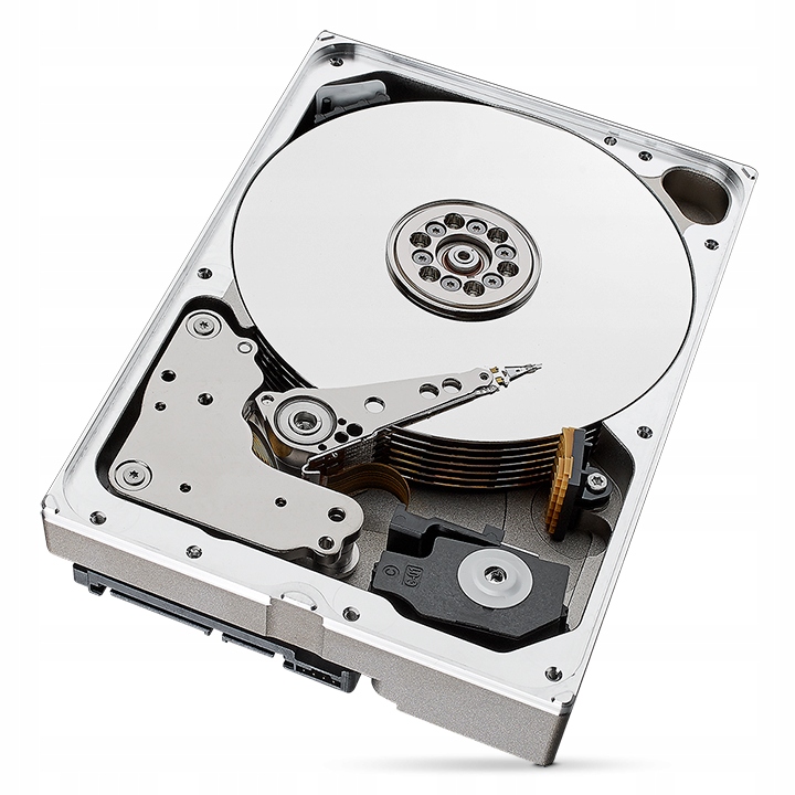 Dysk twardy Seagate SkyHawk Al 10TB SATA III 3,5"