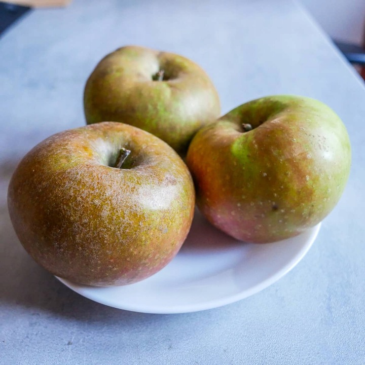 SADZONKI DRZEWKA OWOCOWE JABŁOŃ SZARA RENETA NAJLEPSZA CENIONA DO