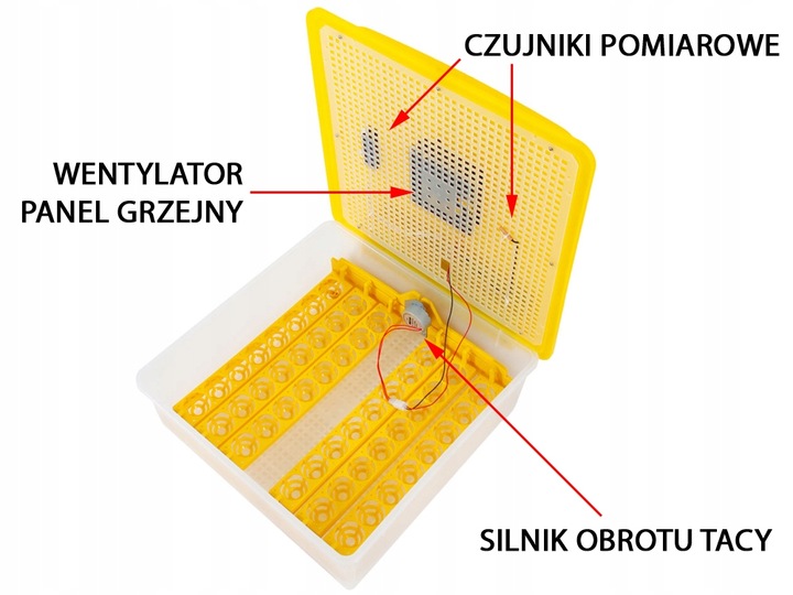 Kompletny zestaw INKUBATOR AUTOMATYCZNY DINO do 56 JAJ DROBIU Różne GATUNKI