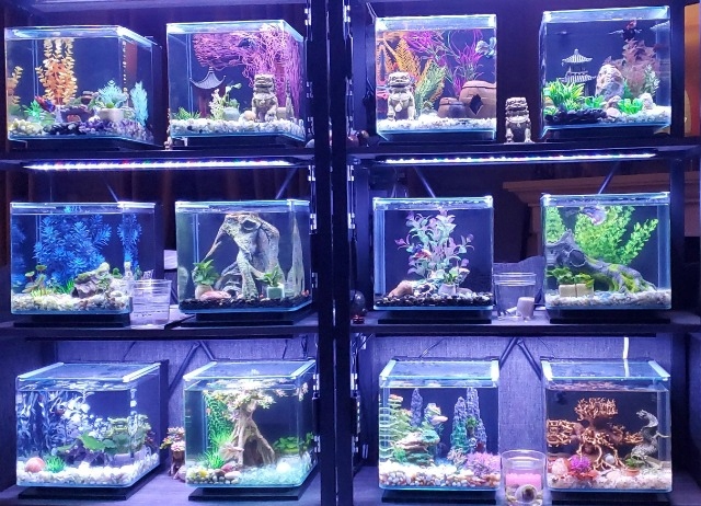 Świetlówka LED oświetlenie AKWARIUM 8520 50cm