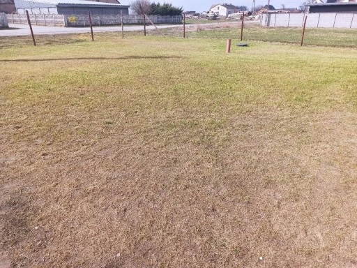 NASIONA TRAWY 5KG TRAWA SAMO ZAGĘSZCZAJĄCA ODPORNA UNIWERSALNA GREENATO