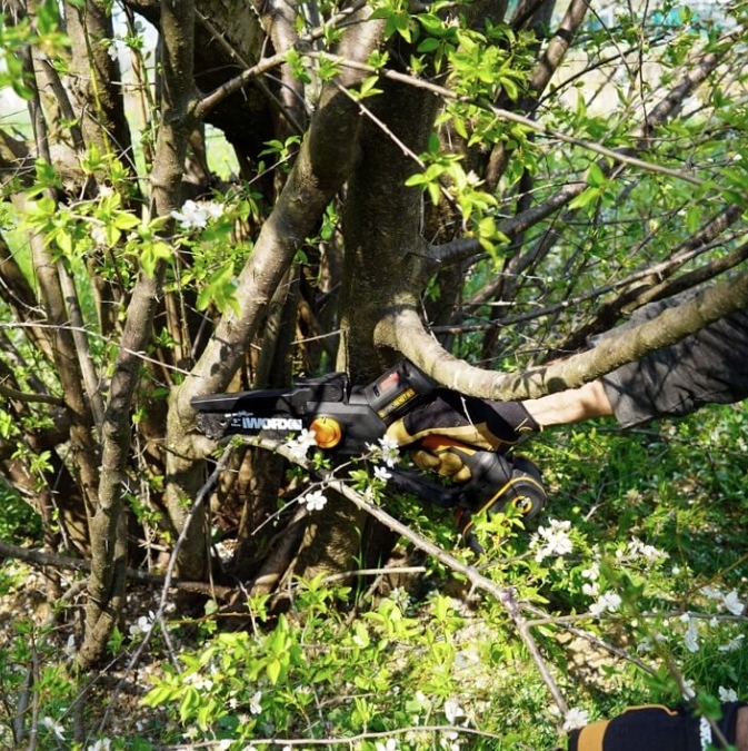 Minipilarka akumulatorowa do gałęzi WORX WG325E.9