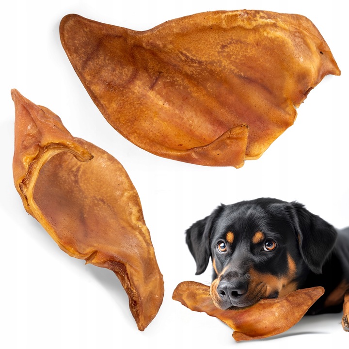 HOCKY Przekąska Przysmak Suszony Gryzak dla Psa Ucho Wieprzowe 10 szt.