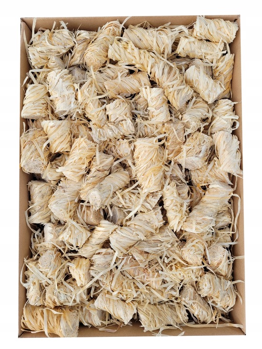 PODPAŁKA ROZPAŁKA DO KOMINKA PIECA GRILLA 2kg + *GRATIS* EKOLOGICZNA