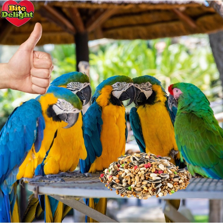 Karma dla papug pokarm dla nimfy falistej Zbilansowane źródło witamin