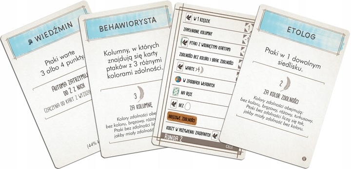 Na skrzydłach: Ptaki Europy