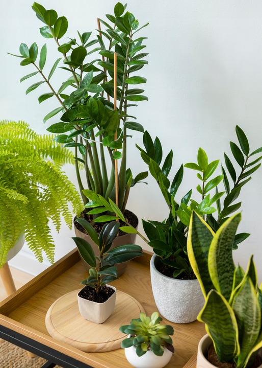 PODŁOŻE DO KWIATÓW ROŚLIN i PALM ZIEMIA UNIWERSALNA Z NAWOZEM COMPO