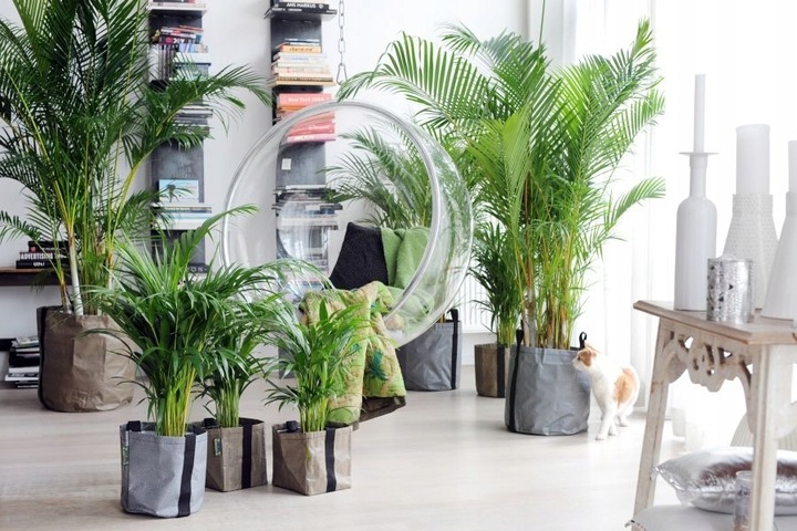 PODŁOŻE DO KWIATÓW ROŚLIN i PALM ZIEMIA UNIWERSALNA Z NAWOZEM COMPO