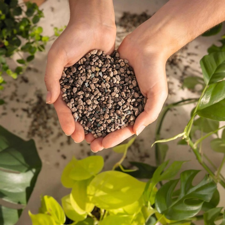 Substrat LECHUZA PON 6L Podłoże z nawozem do roślin doniczkowych