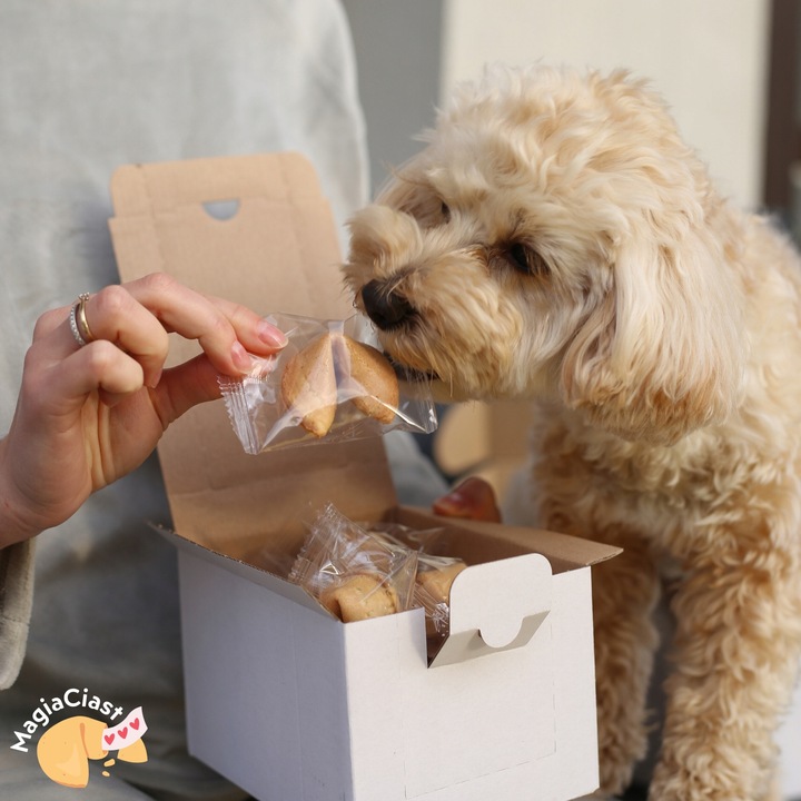 Ciasteczka z Wróżbą Podziękowanie dla gości Dziękujemy za Przybycie 50 szt