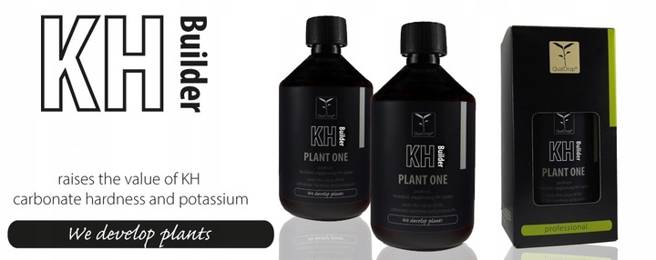 QualDrop KH Builder 500 ml