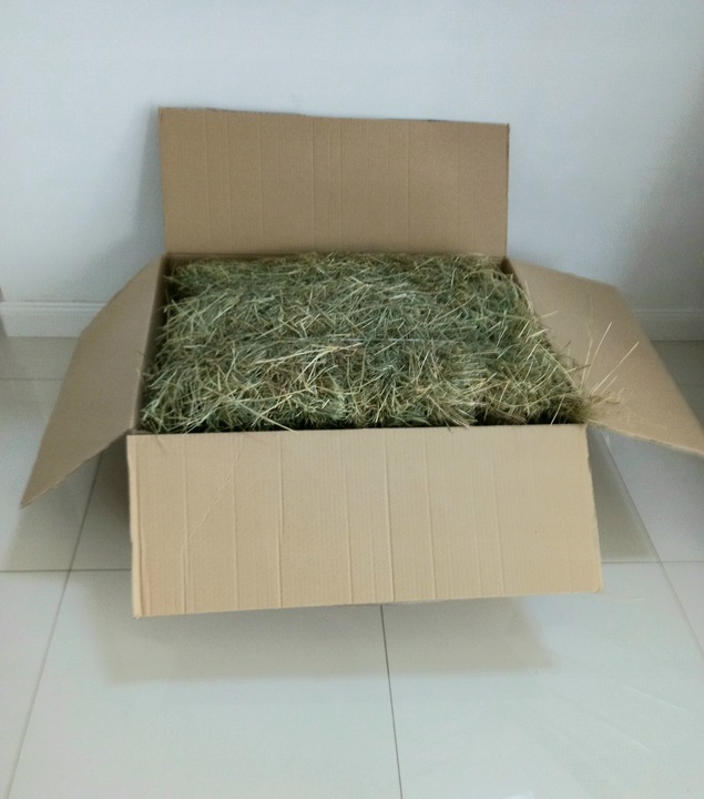 SIANO DUŻA KOSTKA ZIELONE PACHNĄCE - EKO DO 14 KG