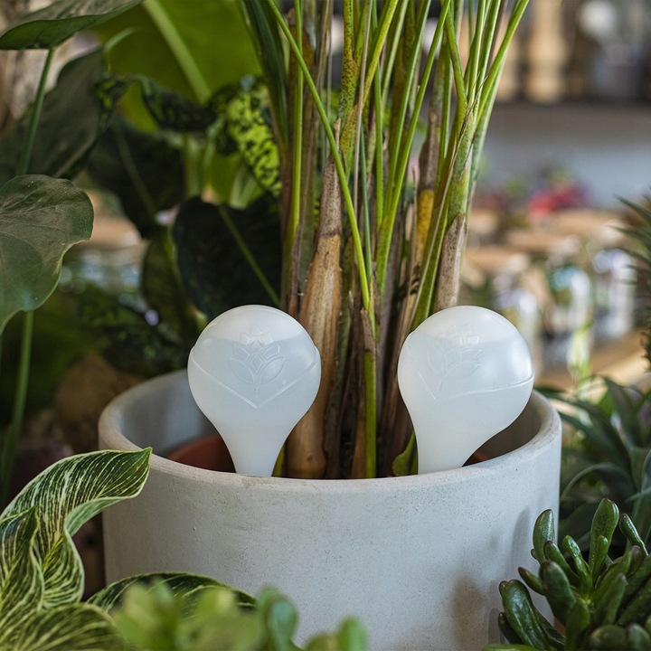 KULE NAWADNIAJĄCE DO KWIATÓW ROŚLIN DONICZEK DOZOWNIK WODY ZESTAW 8szt