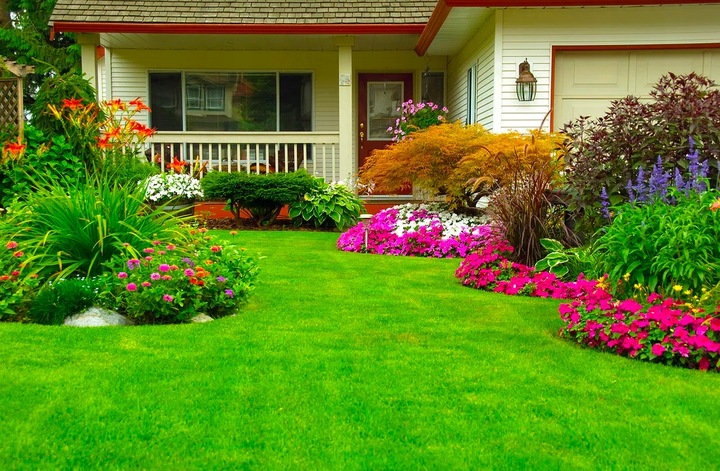 Nawóz wieloskładnikowy Polifoska 6 trawa thuje krzewy granulat 25 kg