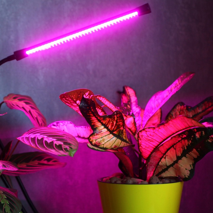 LAMPA DO WZROSTU UPRAWY ROŚLIN LED GROW LIGHT TIMER 9 POZIOMÓW ŚWIECENIA