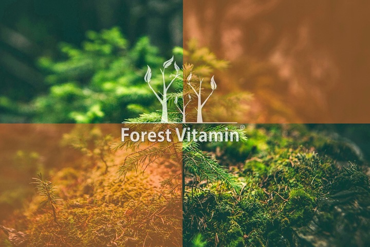 KURKUMINA PIPERYNA MOCNA STANDARYZACJA KURKUMA 100