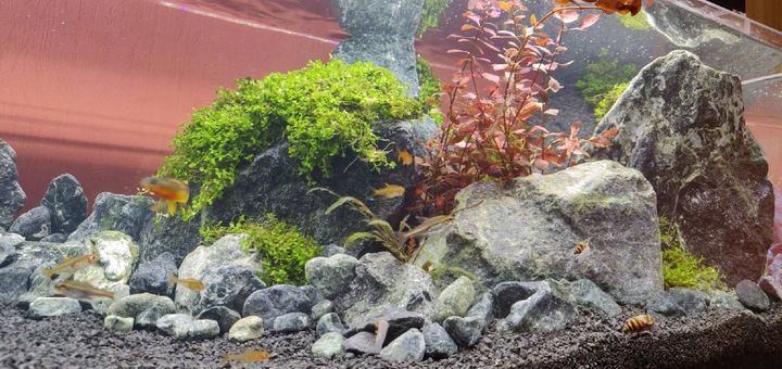 ŻWIREK CZARNY 1-3 mm PODŁOŻE DO AKWARIUM 25kg