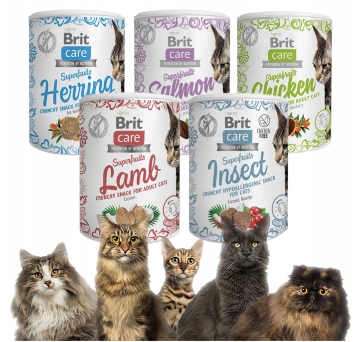 Przysmak dla Kota Brit Care Snack Superfruits Mix Smaków 5 szt*100g