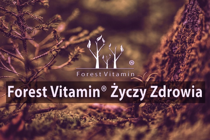 APIGENINA 10g APIGENIN CZYSTA 98% ZDROWIE MOCNA