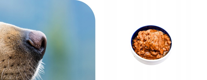 Karma mokra dla psa Puszka Duży Pakiet Mieszany Mix smaków 20 szt x