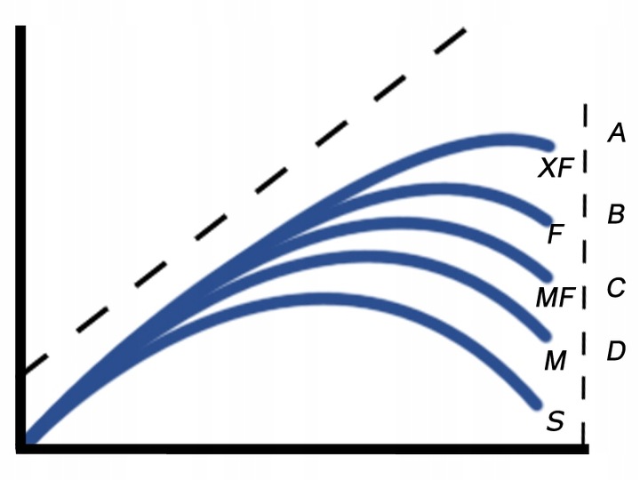 BAT MISTRALL ZINO COMPETITION POLE 6m / 10-30g