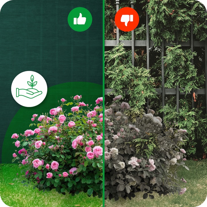 SIATKA CIENIUJĄCA 1,5x50m MASKUJĄCA MATA NA PŁOT OGRODZENIE OSŁONA 90%