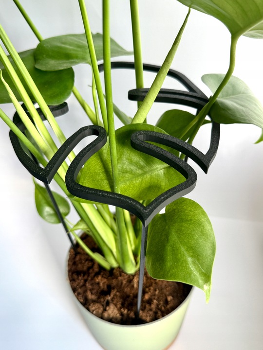 Podpora Roślin Kwiatów Obejma Pierścieniowa Podpórka RING MONSTERA L