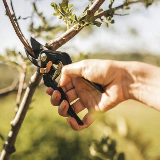 Sekator nożycowy ogrodowy ostry SOLID P131 FISKARS