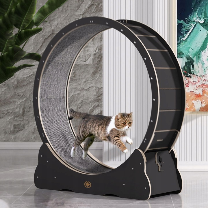 Canadian Cat | Bieżnia dla KOTA L | BLACK EDITION | czarna