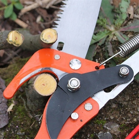 SEKATOR GĄSIENICOWY DO GAŁĘZI TELESKOPOWY ŻYRAFA NA TELESKOP WYSIĘGNIK