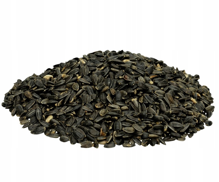 CZARNY SŁONECZNIK ZIARNO POKARM DLA PTAKÓW 5KG ZDROWY I POŻYWNY NA ZIMĘ