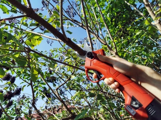 SEKATOR AKUMULATOROWY KOWADEŁKOWY NOŻYCE OGRODOWE ELEKTRYCZNE 2X BATERIA