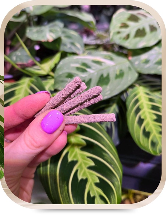 Pałeczki Nawozowe na Szkodniki Ziemiórki Przędziorki Tarczniki 100