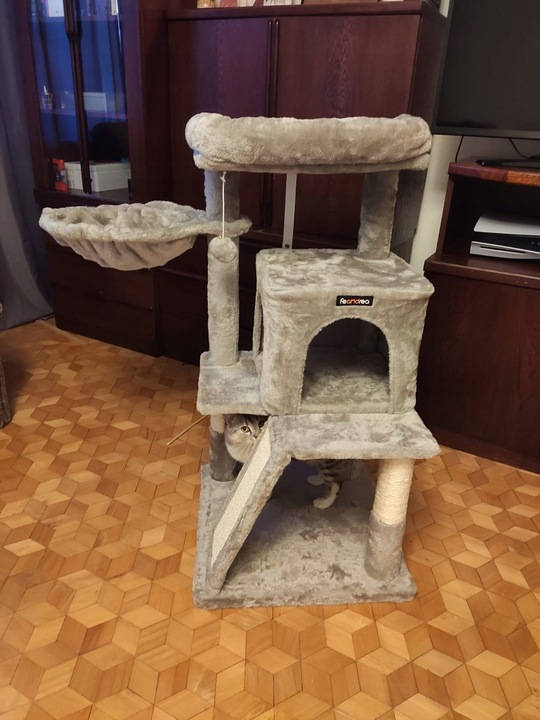 DRAPAK DLA KOTA KOTÓW STABILNY LEGOWISKO WIEŻA SŁUPEK DOMEK 3 POZIOMY