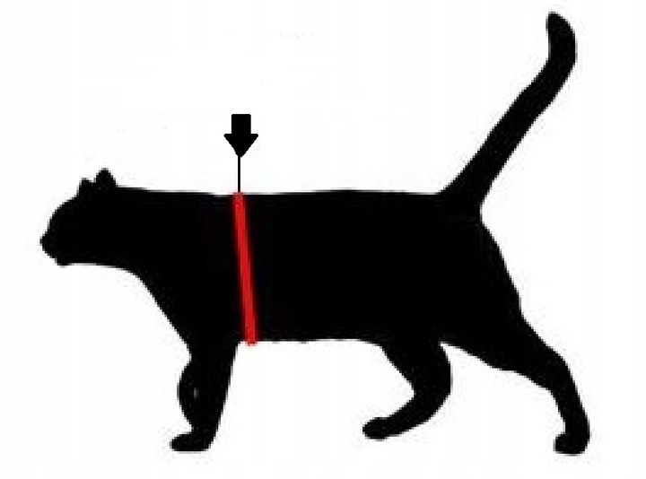 SZELKI dużego kota 38-48cm do 6kg Brytyjski TRE PONTI czarne Z ODBLASKAMI