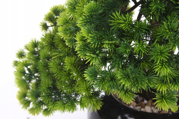 sztuczne drzewko BONSAI LARCH 48x35 modrzew w ceramicznej czarnej doniczce