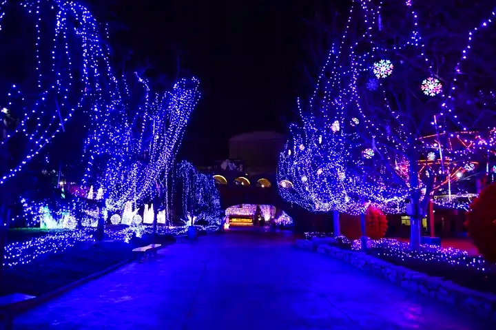 Lampki CHOINKOWE 500 LED FIOLETOWY zewnetrzne/wewnetrzne z programatorem