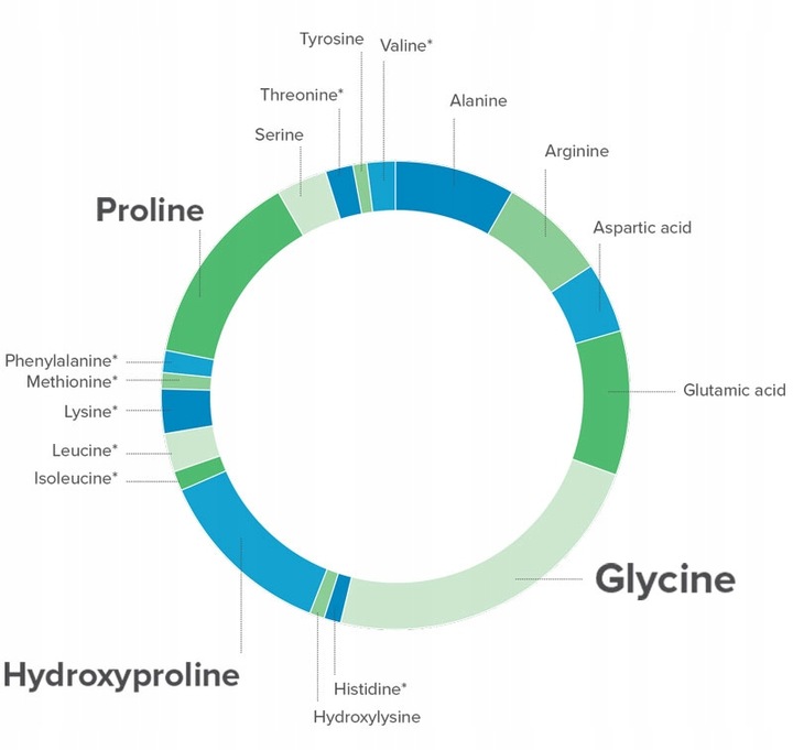 KOLAGEN NA KOLANA NA STAWY W TABLETKACH typ 1 i 3 - bóle stawów Collagen